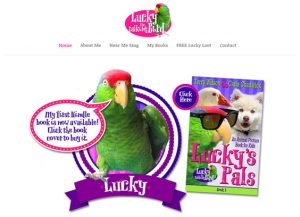 LuckyBirdBooks.com website design