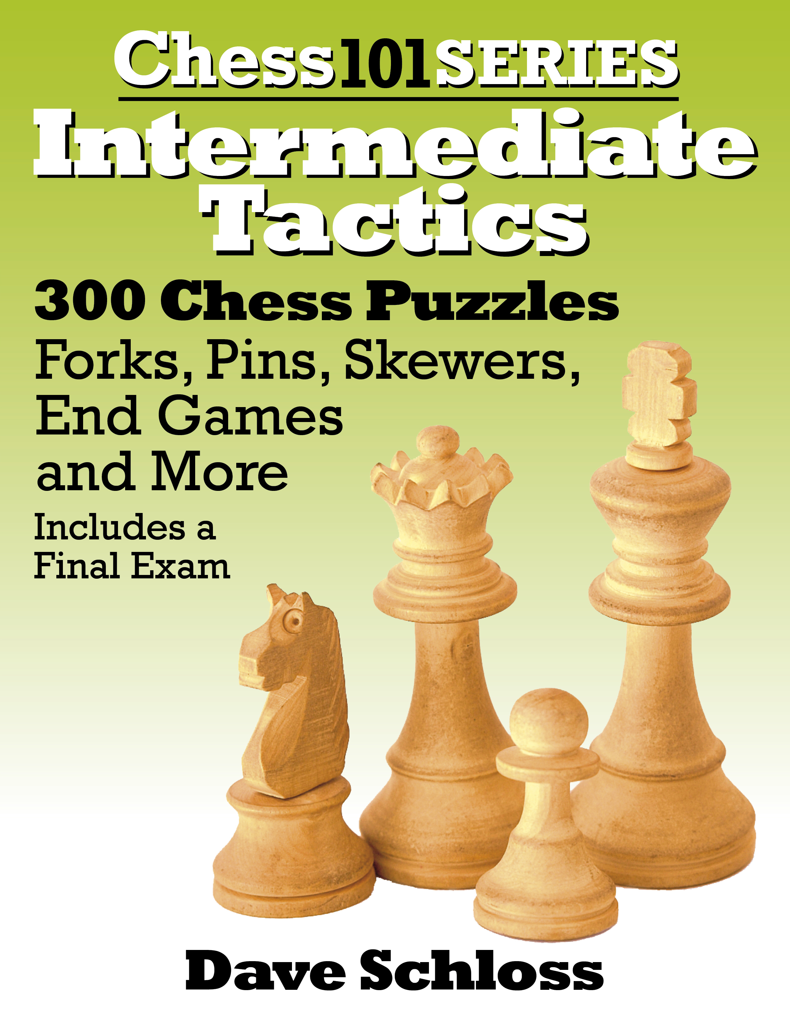 Intermediate Chess Tactics by Dave Schloss